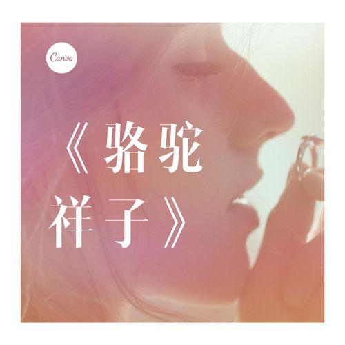 娱乐吃瓜开场白和结束语,揭秘幕后故事，精彩瞬间回顾